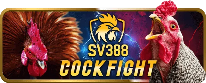 Cá cược thể thao trực tuyến 95win