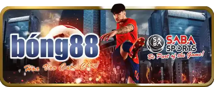 Hỗ trợ khách hàng chuyên nghiệp 95win